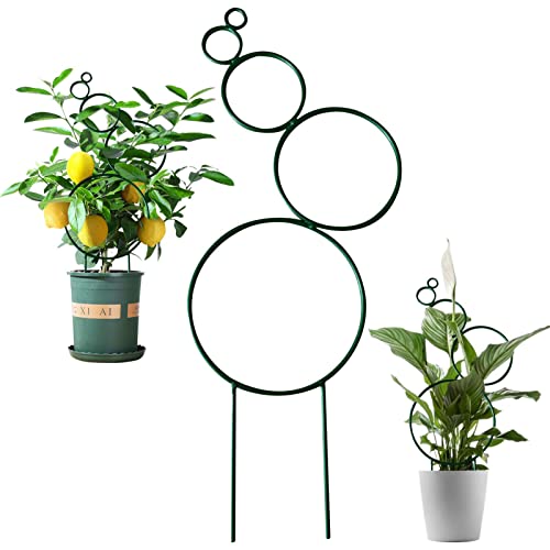 Rankgitter aus Metall für Topfpflanzen – Turm-Obelisk Garten-Rankhilfe Rankgitter für Garten Topf, Pothos, Blume, Monstera Azoob von AZOOB