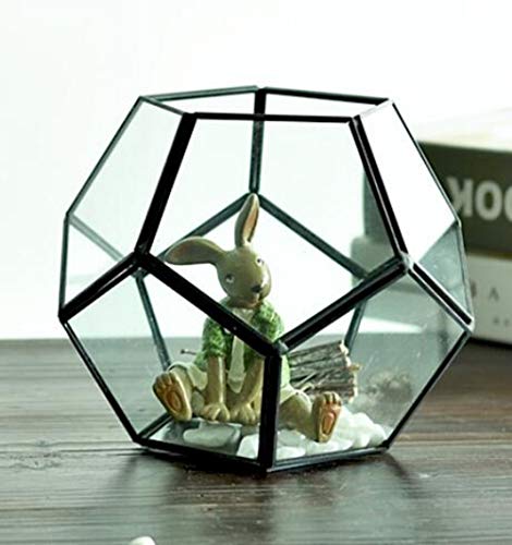 Sauberes Glas Geometrisch Pentagon Dodekaeder Terrariumbehälter Für Fern Moss Sukkulenten Air Pflanzen Halter Miniatur-Glas-Display-Pflanzer-Blumentopf von AZX