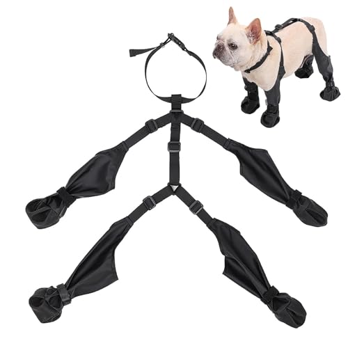 Hundestiefel-Leggings | einteilige Hundeschuhe wasserdicht | Anti-Rutsch-Winter-Hundeschuhe Beinschoner mit Hosenträgern | Verstellbare Hundepfotenschutzsocken für kleine, mittelgroße und große Hunde Hundestiefel-Leggings | einteilige Hundeschuhe wasserdicht | Anti-Rutsch-Winter-Hundeschuhe Beinschoner mit Hosenträgern | Verstellbare Hundepfotenschutzsocken für kleine, mittelgroße und große Hunde von Aayahakawa