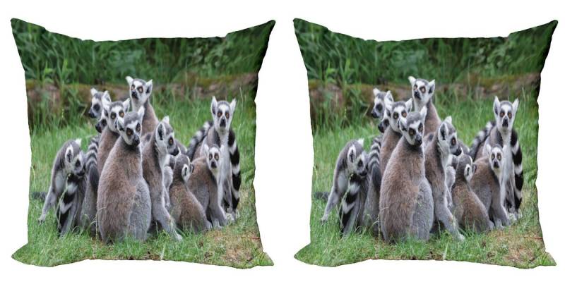 Abakuhaus Kissenbezüge Modern Accent Doppelseitiger Digitaldruck, (2 Stück), Lemur Ring angebundene Madagaskar Affe von Abakuhaus