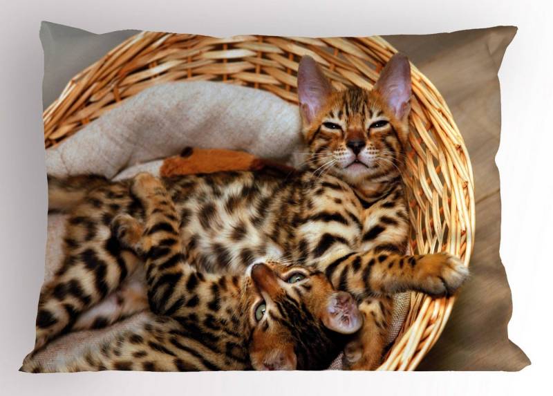 Kissenbezüge Dekorativer Standard King Size Gedruckter Kissenbezug, Abakuhaus (1 Stück), Kätzchen Bengal-Katzen im Korb von Abakuhaus