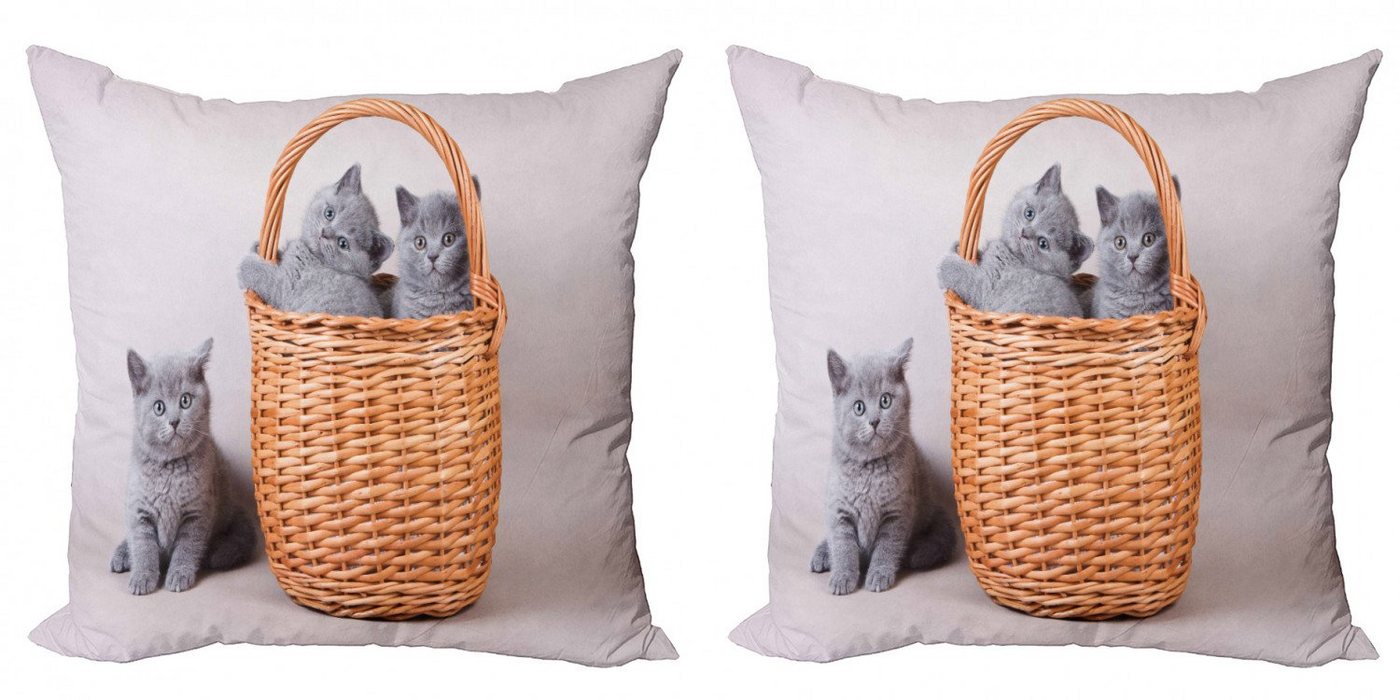 Kissenbezüge Modern Accent Doppelseitiger Digitaldruck, Abakuhaus (2 Stück), Kätzchen Britische Katzen im Korb von Abakuhaus