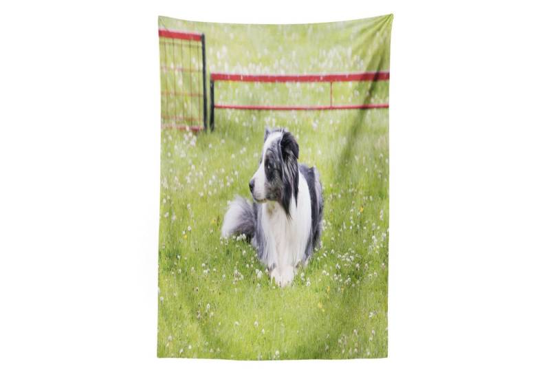 Abakuhaus Wandteppich Wohnzimmer Schlafzimmer Wandtuch Seidiges Satin Wandteppich, rechteckig, Englisch Sheepdog Bobtail Bild von Abakuhaus