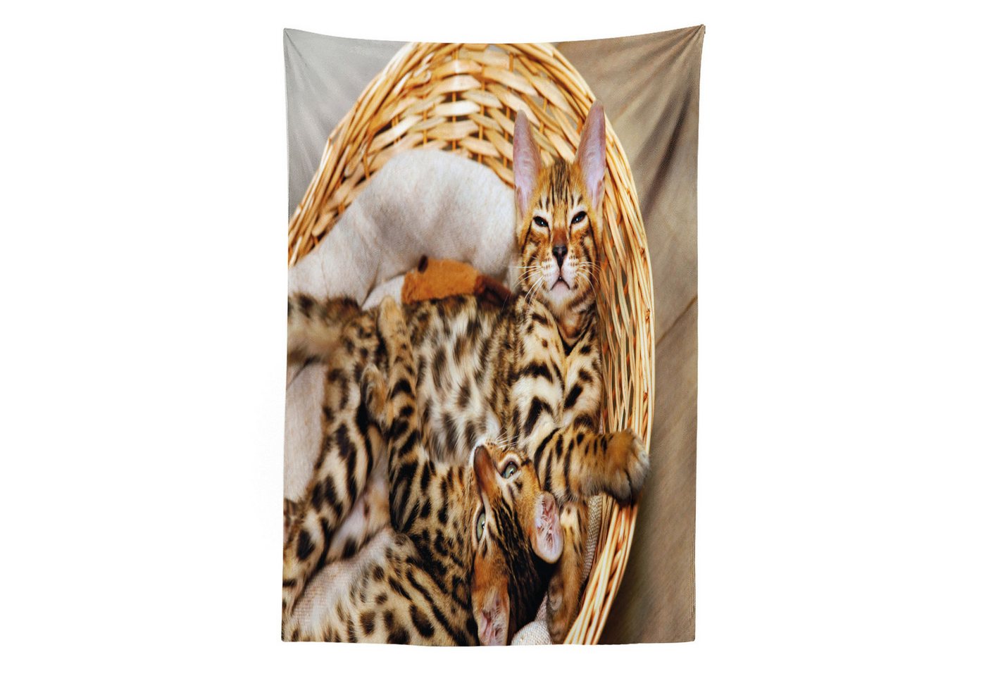 Abakuhaus Wandteppich aus Weiches Mikrofaser Stoff Für das Wohn und Schlafzimmer, rechteckig, Kätzchen Bengal-Katzen im Korb Abakuhaus Wandteppich aus Weiches Mikrofaser Stoff Für das Wohn und Schlafzimmer, rechteckig, Kätzchen Bengal-Katzen im Korb von Abakuhaus
