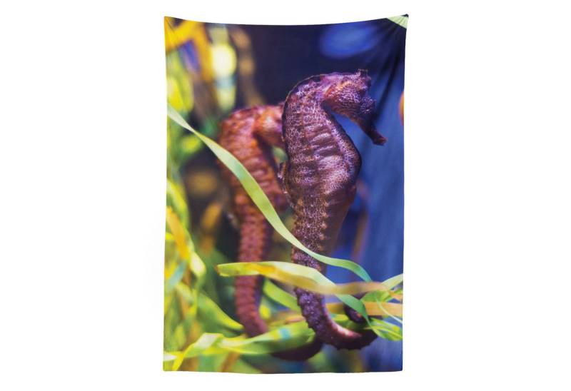 Abakuhaus Wandteppich aus Weiches Mikrofaser Stoff Für das Wohn und Schlafzimmer, rechteckig, Seahorse Close up Foto mit Kelp Abakuhaus Wandteppich aus Weiches Mikrofaser Stoff Für das Wohn und Schlafzimmer, rechteckig, Seahorse Close up Foto mit Kelp von Abakuhaus
