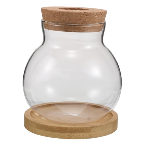 2 Sätze Hydroponische Pflanzenvermehrungsstation mit Glasvasen und Tablett Dekorative Terrarien für Büro und Zuhause für Pflanzenliebhaber und Tischdeko von Abaodam