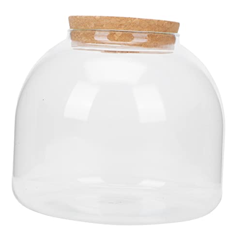 Abaodam 1 Satz Ökologische Mikrolandschaftsflasche transparente Flasche Pflanzenterrarium einfache Flasche Anlage winzig Vermehrung kleines Terrarium Sukkulenten-Terrarium aus Glas hölzern Abaodam 1 Satz Ökologische Mikrolandschaftsflasche transparente Flasche Pflanzenterrarium einfache Flasche Anlage winzig Vermehrung kleines Terrarium Sukkulenten-Terrarium aus Glas hölzern von Abaodam