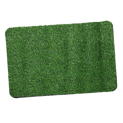Abaodam 1 Stück Künstliche Rasenfußmatte Rutschfeste Eingangsmatte für Badezimmer Eingangsbereich Flur und Terrasse Wasserabsorbierend und Langlebig Deko für Zuhause Abaodam 1 Stück Künstliche Rasenfußmatte Rutschfeste Eingangsmatte für Badezimmer Eingangsbereich Flur und Terrasse Wasserabsorbierend und Langlebig Deko für Zuhause von Abaodam