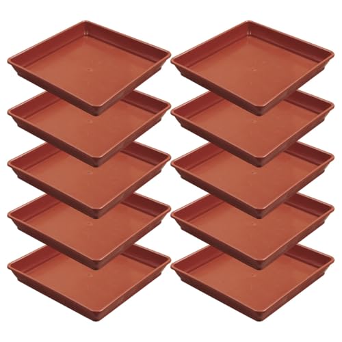 Abaodam 10 Stück Quadratische Pflanzuntersetzer aus Robustem Kunststoff Langlebige Blumentopf tabletts für Zimmerpflanzen wasserdichte Pflanzschalen in Terrakotta Innendurchmesser Abaodam 10 Stück Quadratische Pflanzuntersetzer aus Robustem Kunststoff Langlebige Blumentopf tabletts für Zimmerpflanzen wasserdichte Pflanzschalen in Terrakotta Innendurchmesser von Abaodam