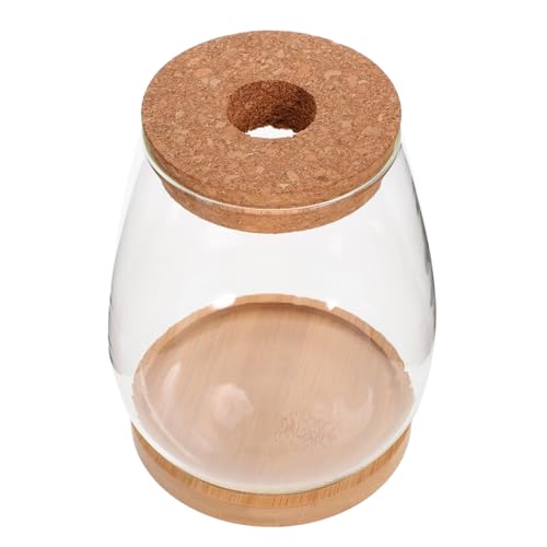 Abaodam Glasterrarium mit Deckel Selbstgemacht Mikrolandschaftsflasche Transparente Hydroponische Vase Dekorativer Pflanzer für Hydroponik und Kleine Pflanzen Geeignet für Schreibtisch Abaodam Glasterrarium mit Deckel Selbstgemacht Mikrolandschaftsflasche Transparente Hydroponische Vase Dekorativer Pflanzer für Hydroponik und Kleine Pflanzen Geeignet für Schreibtisch von Abaodam