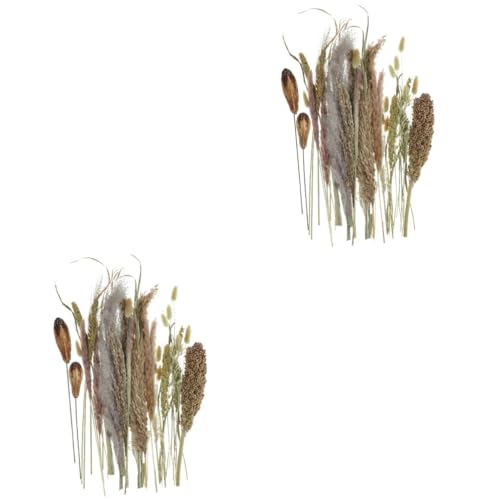 Abaodam 2 Stück 1 hohes für Bodenvase Vase getrocknete Besenkorndekore Vasenfüllung mit getrocknetem Besenkorn getrocknete Blumen hoch Sorghum-Schilf von Abaodam