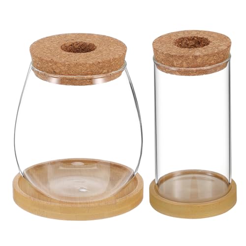 Abaodam 2Stücke Hydrokultur Pflanzenvermehrungsgläser mit Korkdeckel und Tablett Glaspflanzgefäße für Innenräume für Zimmerpflanzen und Pflanzen Terrarien von Abaodam