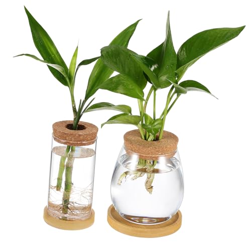 Abaodam 2Stücke Pflanzenvermehrungs Glasvase mit Korkdeckel Hydrokultur Terrarium für Innenräume Tablett Design zur Stilvollen Präsentation von Pflanzen von Abaodam