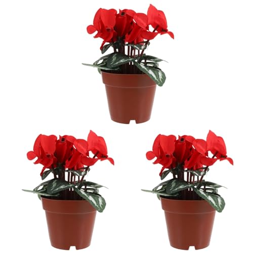 Abaodam 3st Topfpflanze Minitöpfe Gründekor Schreibtischaufsatz Tischdekoration Regaldekor Wohnkultur Nachahmung Vergossen Gefälschte Alpenveilchen-Bonsai Blumenbonsai Aus Seidentuch von Abaodam
