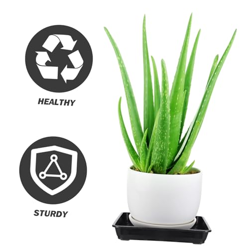 Abaodam 8 Stück Teiliges Quadratische Kunststoff blumentopf untersetzer Langlebige Bonsai pflanzschalen wasserdichte Pflanzgefäß tabletts Geeignet für Garten und Innenbereich Abaodam 8 Stück Teiliges Quadratische Kunststoff blumentopf untersetzer Langlebige Bonsai pflanzschalen wasserdichte Pflanzgefäß tabletts Geeignet für Garten und Innenbereich von Abaodam