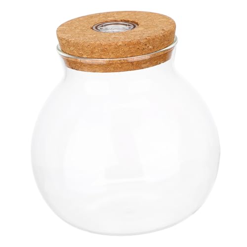 Abaodam DIY Mikro-landschaftsflasche Glas Vase Mit Led Licht Aquarium Dekoration Abaodam DIY Mikro-landschaftsflasche Glas Vase Mit Led Licht Aquarium Dekoration von Abaodam