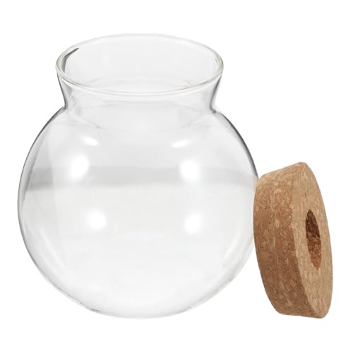 Abaodam Glas Terrarium mit Korkdeckel Runde Mikrolandschaft Vase für Hydroponik Pflanzen Moos Sukkulenten Dekoratives Glasgefäß Vielseitig als Blumen und Fischschale Platzsparend für Abaodam Glas Terrarium mit Korkdeckel Runde Mikrolandschaft Vase für Hydroponik Pflanzen Moos Sukkulenten Dekoratives Glasgefäß Vielseitig als Blumen und Fischschale Platzsparend für von Abaodam