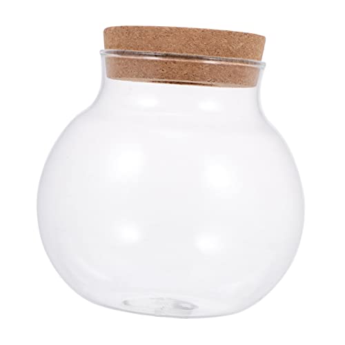 Abaodam Glasflasche Ökologisches Terrarium DIY Landschaftsbau Dekoratives Moos Pflanzen Aquarium Zubehör Transparentes Glasgefäß für Büro Abaodam Glasflasche Ökologisches Terrarium DIY Landschaftsbau Dekoratives Moos Pflanzen Aquarium Zubehör Transparentes Glasgefäß für Büro von Abaodam