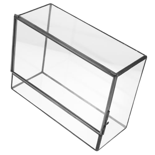 Abaodam Handgefertigtes Geometrisches Glas Terrarium Multifunktionaler Pflanzentopf und Mini mikrolandschaft Behälter für DIY Pflanzen Moos und Ökologische Tischdeko für Wohnzimmer und Abaodam Handgefertigtes Geometrisches Glas Terrarium Multifunktionaler Pflanzentopf und Mini mikrolandschaft Behälter für DIY Pflanzen Moos und Ökologische Tischdeko für Wohnzimmer und von Abaodam