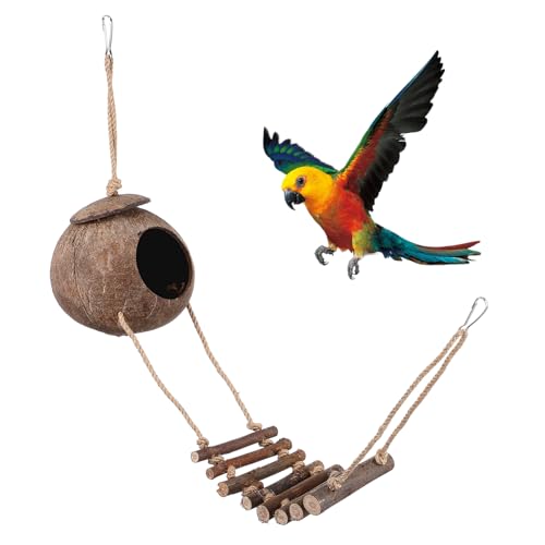 Abaodam Kokosnussschale Reptilienversteck mit Leiter Natürliches Terrarium Höhle für Kleine Eidechsen und Geckos Dekoratives Faunarium Zubehör Langlebiges Reptilienversteck Abaodam Kokosnussschale Reptilienversteck mit Leiter Natürliches Terrarium Höhle für Kleine Eidechsen und Geckos Dekoratives Faunarium Zubehör Langlebiges Reptilienversteck von Abaodam