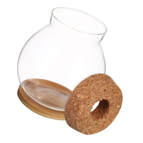 Abaodam Kompaktes Aquarium mit Elegantem Holzdeckel Transparentes Hydroponik Fischbecken für Betta Fische Kleines Terrarium für Schreibtisch Büro und Deko Abaodam Kompaktes Aquarium mit Elegantem Holzdeckel Transparentes Hydroponik Fischbecken für Betta Fische Kleines Terrarium für Schreibtisch Büro und Deko von Abaodam