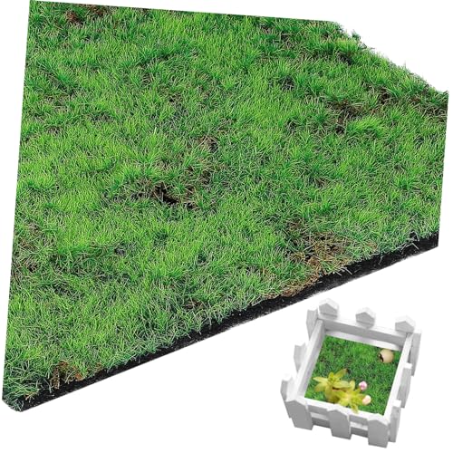Abaodam Künstliche Moosmatte Dekorativer Kunstrasen für DIY Langlebig Pflegeleicht und Vielseitig Einsetzbar für Garten Balkon und Puppenhaus Abaodam Künstliche Moosmatte Dekorativer Kunstrasen für DIY Langlebig Pflegeleicht und Vielseitig Einsetzbar für Garten Balkon und Puppenhaus von Abaodam