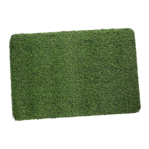 Abaodam Kunstrasen Fußmatte Lebensechte Outdoor Teppich Rutschfeste Eingangsmatte für Frontwartung Kunstrasen Dekor für Abaodam Kunstrasen Fußmatte Lebensechte Outdoor Teppich Rutschfeste Eingangsmatte für Frontwartung Kunstrasen Dekor für von Abaodam