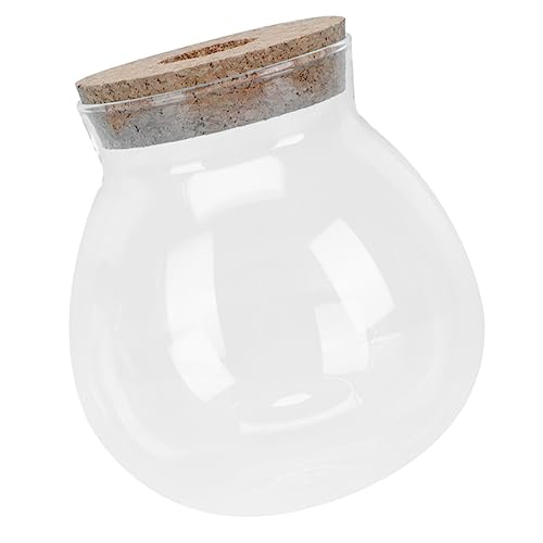 Abaodam Micro Landscape Terrarium Kleines Glasfischbecken für Hydroponische Pflanzen Dekoratives Terrarium für Blumen und Fische Transparentes Design für Zuhause und Büro Abaodam Micro Landscape Terrarium Kleines Glasfischbecken für Hydroponische Pflanzen Dekoratives Terrarium für Blumen und Fische Transparentes Design für Zuhause und Büro von Abaodam