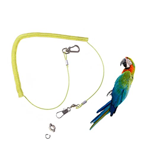 Abaodam Papageien Fluggeschirr mit Elastischer Vogelleine Bissfestes Trainingsseil für Wellensittiche und Nymphensittiche Verstellbarem Fußring für Outdoor Training und Zufällige Farbe Abaodam Papageien Fluggeschirr mit Elastischer Vogelleine Bissfestes Trainingsseil für Wellensittiche und Nymphensittiche Verstellbarem Fußring für Outdoor Training und Zufällige Farbe von Abaodam