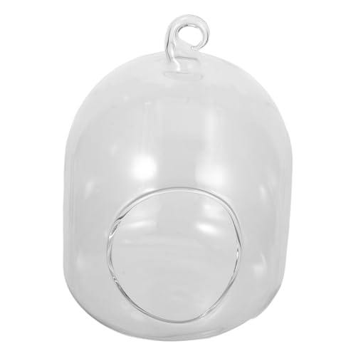 Abaodam Flaschen Terrarium Aus Glas Mit Moosdekoration Als Kleine Blumenvase Für Schreibtisch Kompaktes Glasterrarium Für Pflanzen Terrariengläser Zum Anpflanzen Von Terrariumpflanzen von Abaodam