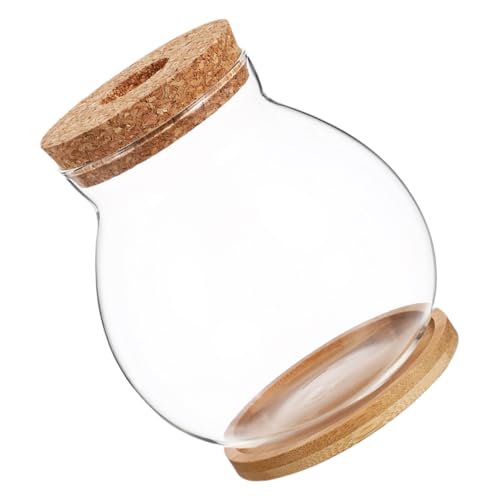 Abaodam Transparentes Fischterrarium mit Elegantem Holzdeckel Kleines Hydroponisches Mini Aquarium Dekoratives Desktop Fischbecken für Betta Fische für Büro und Abaodam Transparentes Fischterrarium mit Elegantem Holzdeckel Kleines Hydroponisches Mini Aquarium Dekoratives Desktop Fischbecken für Betta Fische für Büro und von Abaodam