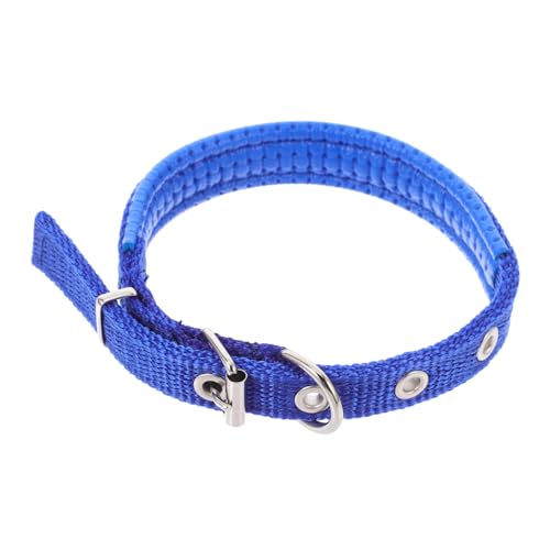 Abaodam Verstellbares Haustierhalsband aus Strapazierfähigem Polyester mit Robustem Legierungsverschluss Geeignet für Kleine Mittelgroße und Große Tiere Modisches Design und Anpassbare von Abaodam