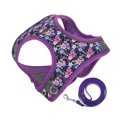 Abaodam Verstellbares Mesh Hundegeschirr mit Leine Atmungsaktives Leichtes Brustgeschirr für Welpen und Katzen Komfortables Sicheres Weste-Style Geschirr für Spaziergänge und Abaodam Verstellbares Mesh Hundegeschirr mit Leine Atmungsaktives Leichtes Brustgeschirr für Welpen und Katzen Komfortables Sicheres Weste-Style Geschirr für Spaziergänge und von Abaodam
