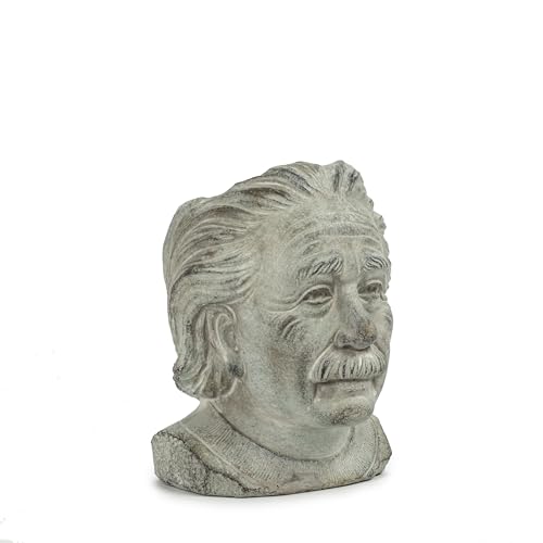 Abbott Collection 27-EINSTEIN-202-SM Kleiner Einsteinkopf, grau von Abbott Collection