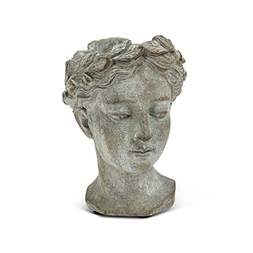 Abbott Collection Göttinnenkopf-Pflanzgefäß – extra Kleiner Zement-Pflanztopf für drinnen und draußen – griechische Frauenstatue, Kopf-Pflanzgefäß für Blumen und Sukkulenten (Grau, 7 cm Öffnung) von Abbott Collection