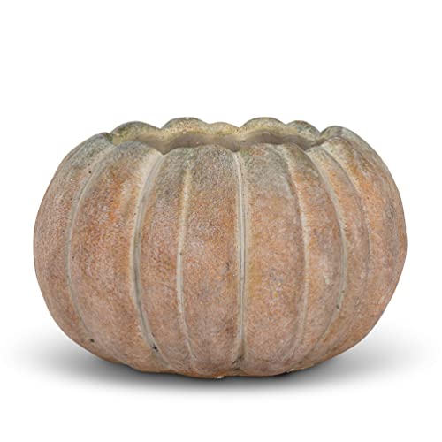 Abbott Collection 27-PUMPKIN-220-LG Großer niedriger Zement-Kürbis-Pflanztopf für drinnen und draußen Abbott Collection 27-PUMPKIN-220-LG Großer niedriger Zement-Kürbis-Pflanztopf für drinnen und draußen von Abbott Collection