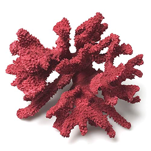 Abbott Collection 3D Korallenzweig, rot (mittel) von Abbott Collection