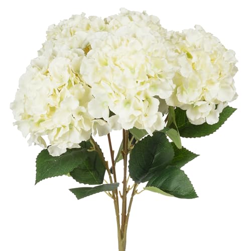 Abbott Collection Großer Hortensien-Blumenstrauß mit 5 Stielen, Polyester/Kunststoff, Weiß, 50,8 cm H Abbott Collection Großer Hortensien-Blumenstrauß mit 5 Stielen, Polyester/Kunststoff, Weiß, 50,8 cm H von Abbott Collection