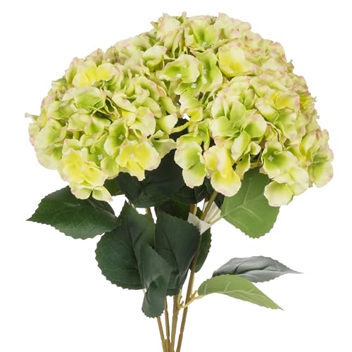 Abbott Collection Großer Hortensien-Blumenstrauß mit 5 Stielen – Polyester/Kunststoff, Grün (50,8 cm H) von Abbott Collection