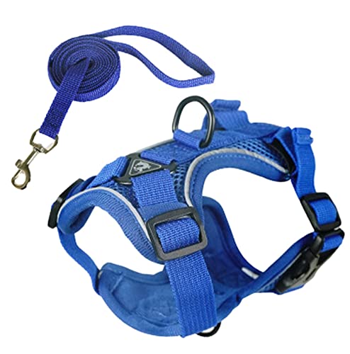 Abbto Geschirr für große Hunde - Brustgeschirr für Hunde Anti-Durchbruch - Reflektierendes Hundezubehör zum Laufen im Dunkeln für mittelgroße und große Hunde Abbto Geschirr für große Hunde - Brustgeschirr für Hunde Anti-Durchbruch - Reflektierendes Hundezubehör zum Laufen im Dunkeln für mittelgroße und große Hunde von Abbto