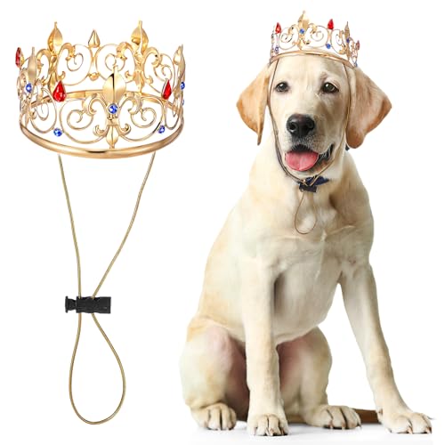 Abbylike Haustier-Königskrone für Halloween-Kostüm, Strass, Prinzessinnenkrone für Hund und Katze, Cosplay, Party, Haarschmuck, Foto-Requisite, groß, Strass Abbylike Haustier-Königskrone für Halloween-Kostüm, Strass, Prinzessinnenkrone für Hund und Katze, Cosplay, Party, Haarschmuck, Foto-Requisite, groß, Strass von Abbylike