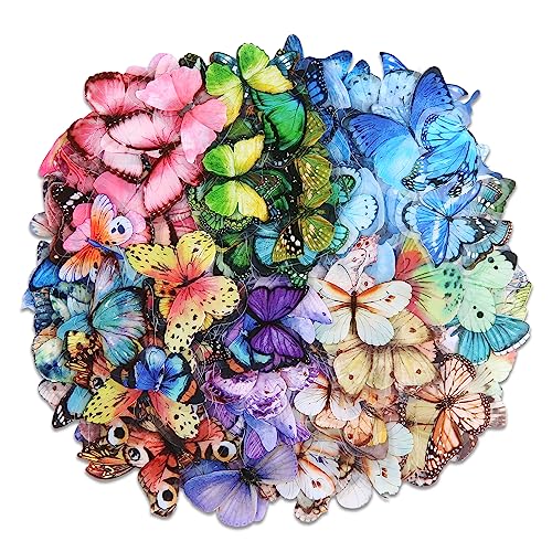 240 Stück Schmetterling Aufkleber, 5cm klein Schmetterling Scrapbooking Stickers, 6 Farben bunte Schmetterlinge Papier-Sticker, Butterfly Stickers für DIY Deko Wand Fenster Laptop Wasserflaschen von Abeillo