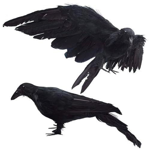 2pcs Crow, 13x5, 5 realistisches Rabendekor mit abnehmbarem Flügel, künstlicher Dead Crow Decoy für das Schrecken von Krähen für Natur im Freien und Halloween -Dekorationen im Innen von Abibiocy