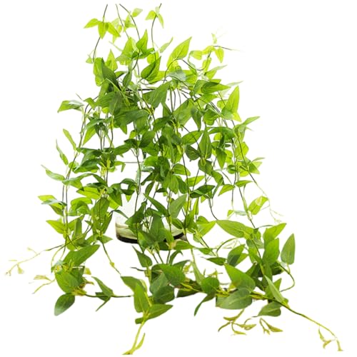 Abibiocy 3pcs Clematis Vine, 31, 5 Zoll lang Elegante realistische Clematis künstlich hängende Gründekoration für Jede Gelegenheit oder Veranstaltung Abibiocy 3pcs Clematis Vine, 31, 5 Zoll lang Elegante realistische Clematis künstlich hängende Gründekoration für Jede Gelegenheit oder Veranstaltung von Abibiocy
