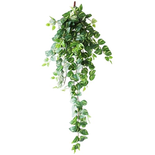 Abibiocy Künstliche Efeureben 43 Zoll lang Faux Ivy Vines Dekorativ großes Hängepflanze Grün für Wall House Room Regal Büro Abibiocy Künstliche Efeureben 43 Zoll lang Faux Ivy Vines Dekorativ großes Hängepflanze Grün für Wall House Room Regal Büro von Abibiocy