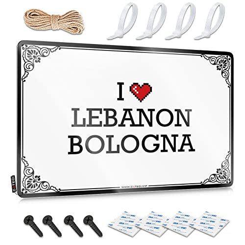 Abipuir Blech-Barschilder I Love Libanon Bologna Blechschild Lustige Schilder für Büro Bier Dekor (Farbe: Farbe, Größe: 30 x 40 cm) von Abipuir
