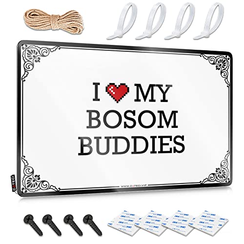 Abipuir Bro Höhlenschild I Love My Bosom Buddies Blechschild Dinge unter 10 Dollars Männerhöhle Dekor (Farbe: Farbe, Größe: 20 x 30 cm) von Abipuir