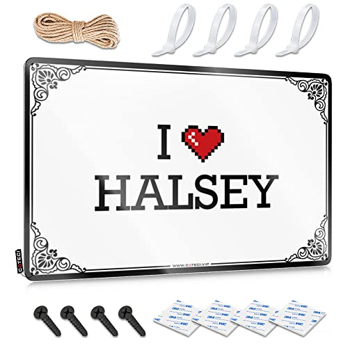 Abipuir In Home Bar Schilder I Love Halsey Blechschild BBQ Schilder Outdoor Fun Stuff (Farbe: Farbe, Größe: 30 x 40 cm) von Abipuir