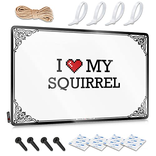 Abipuir Lustige Warnschilder I Love My Squirrel Blechschild Vintage Dekor Bar Spiegel für Männerhöhle (Farbe: Farbe, Größe: 30 x 40 cm) von Abipuir