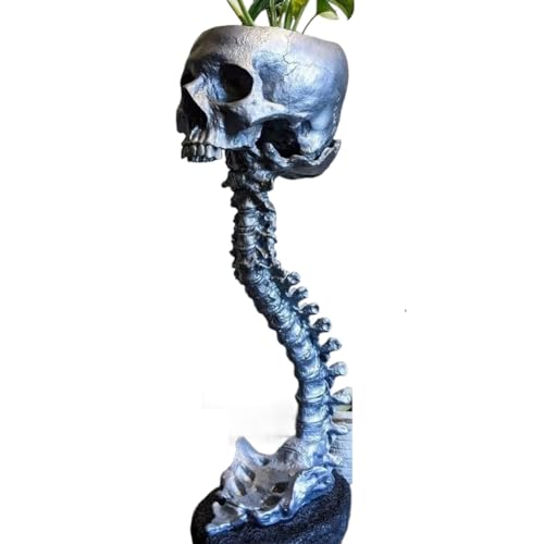 Aboiled Harz-Totenkopf-Pflanzgefäß und Wirbelsäulenständer-Set, Polyresin-Totenkopf-Topf, Halloween-Dekoration, Retro-Menschenschädelkopf-, Einfach zu Verwenden, Silber Aboiled Harz-Totenkopf-Pflanzgefäß und Wirbelsäulenständer-Set, Polyresin-Totenkopf-Topf, Halloween-Dekoration, Retro-Menschenschädelkopf-, Einfach zu Verwenden, Silber von Aboiled